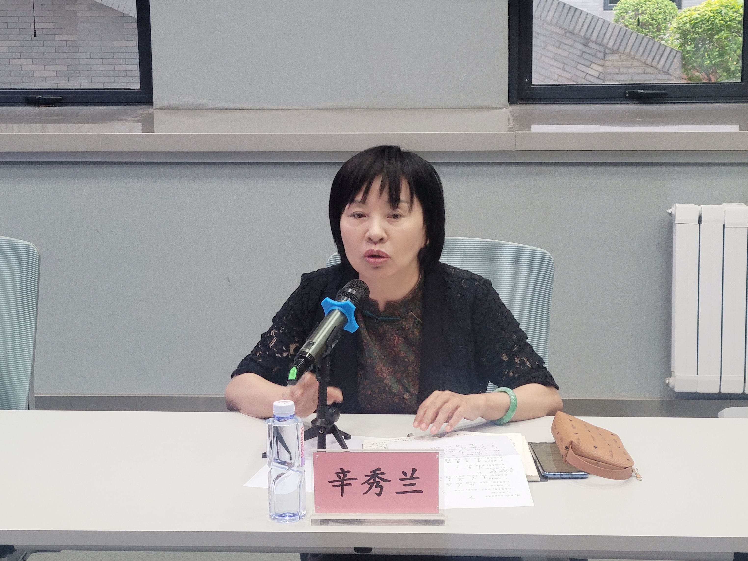 辛秀兰发言.jpg 辛秀兰发言.jpg