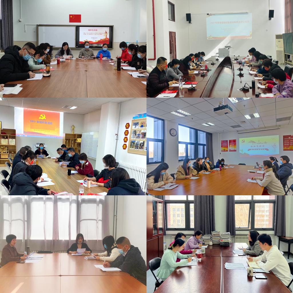 20220304-基础教育学院各党支部召开2021年度组织生活会.jpg 20220304-基础教育学院各党支部召开2021年度组织生活会.jpg