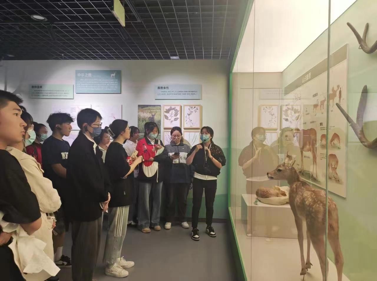 微信图片_20230514171156.jpg 微信图片_20230514171156.jpg