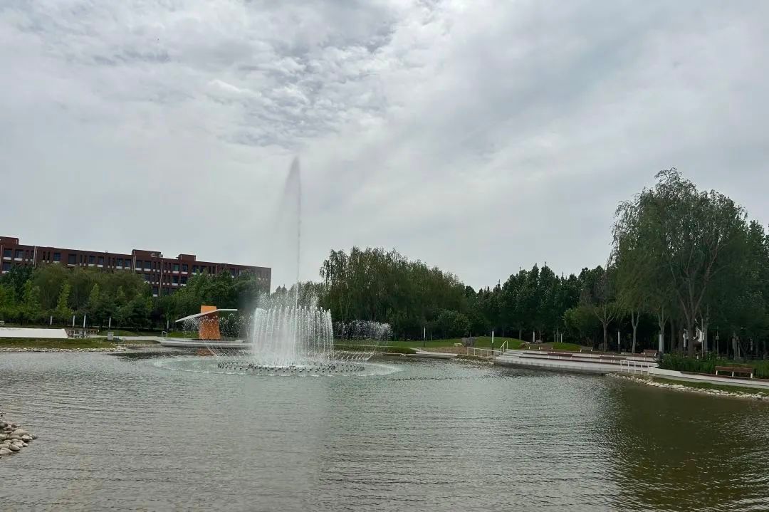 645b3167e4b001712f536b0f.jpeg