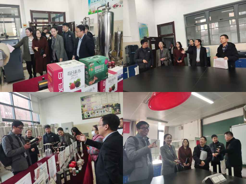 20230306-药品行指委秘书处(国家药品监督管理局高级研修学院)来我校生物工程学院调研.jpg